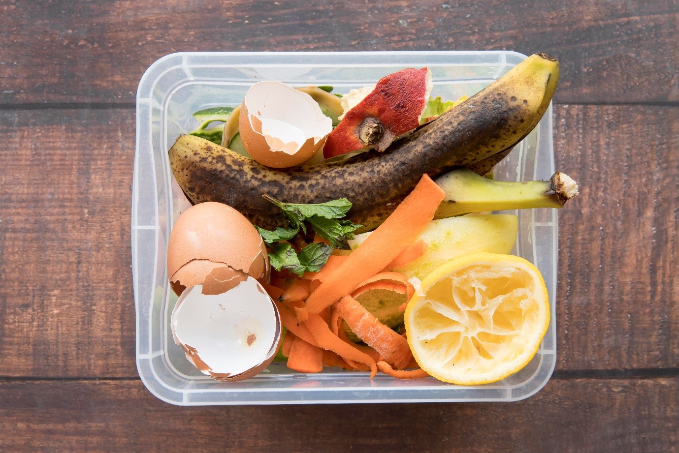 DECOMPOSITION RISKS: HOW SHOULD YOU HANDLE EXPIRED FOOD AND DECAY IN BIOHAZARD ENVIRONMENTS?